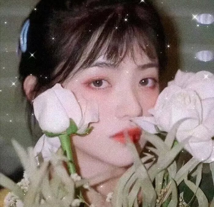 艾莉莎与玛榭拉